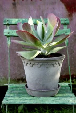 Bergs Potter Copenhagen Topf Grau, 30 Cm -Einrichtungsgeschäft bergs potter copenhagen topf grau 3 1