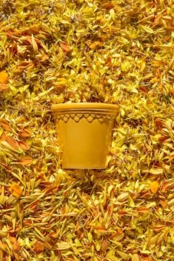 Bergs Potter Copenhagen Topf Mit Unterteller Gelb, Ø14 Cm -Einrichtungsgeschäft bergs potter copenhagen topf mit unterteller gelb 1