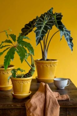 Bergs Potter Copenhagen Topf Mit Unterteller Gelb, Ø14 Cm -Einrichtungsgeschäft bergs potter copenhagen topf mit unterteller gelb 4