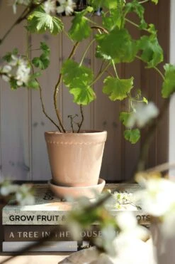 Bergs Potter Helena Topf Quartz Rose, 18 Cm -Einrichtungsgeschäft bergs potter helena topf quartz rose 10