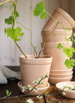 Bergs Potter Helena Topf Quartz Rose, 18 Cm -Einrichtungsgeschäft bergs potter helena topf quartz rose 11