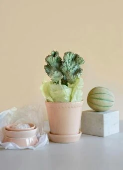 Bergs Potter Helena Topf Quartz Rose, 18 Cm -Einrichtungsgeschäft bergs potter helena topf quartz rose 9