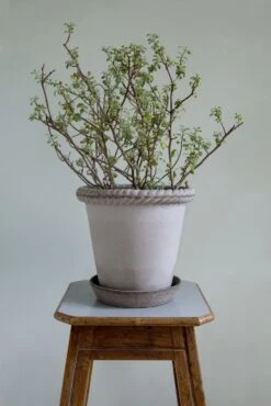 Bergs Potter Emilia Topf Grau, 25 Cm -Einrichtungsgeschäft bergs potter topf emilia grau 1